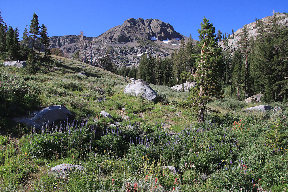 Winnemucca Lake