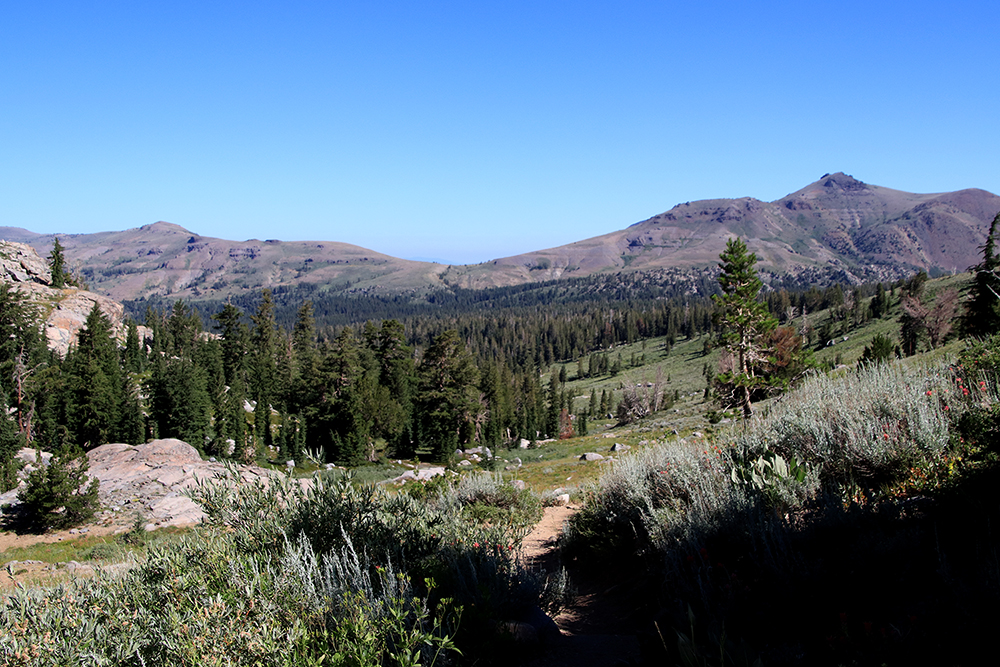 Lake Winnemucca