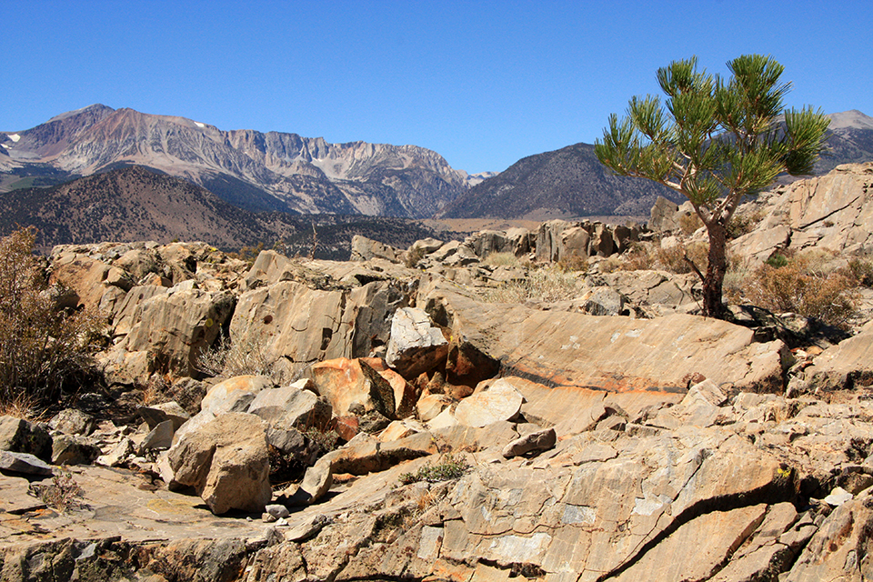 Panum Crater Trail