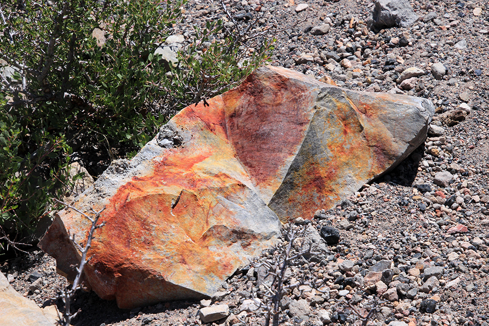 Panum Crater Trail