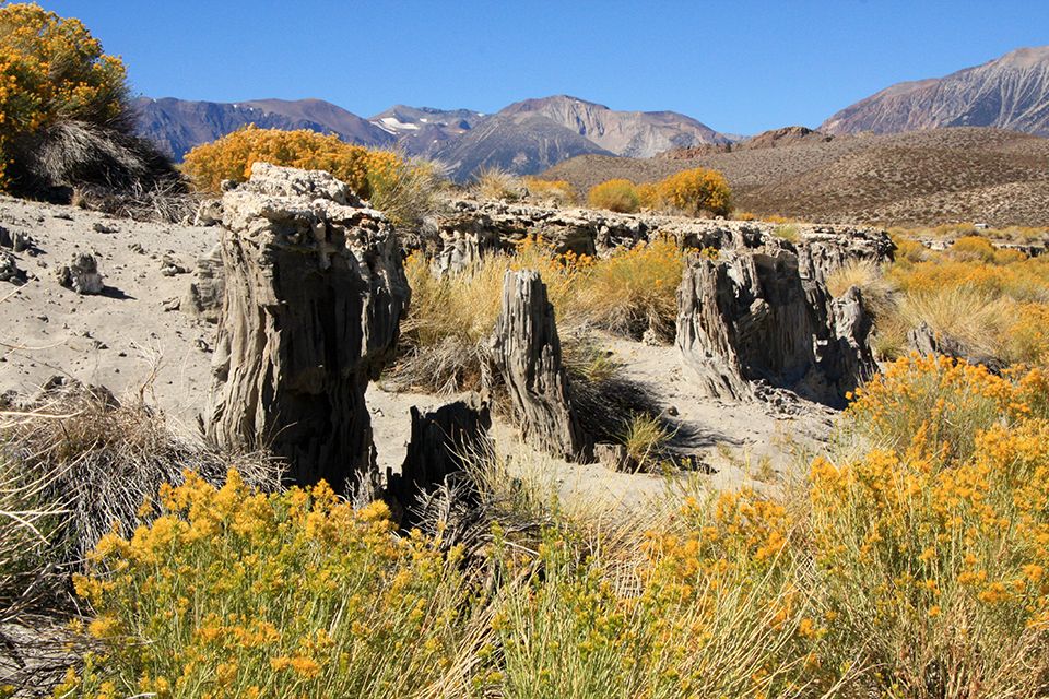 Sand Tufa Trail