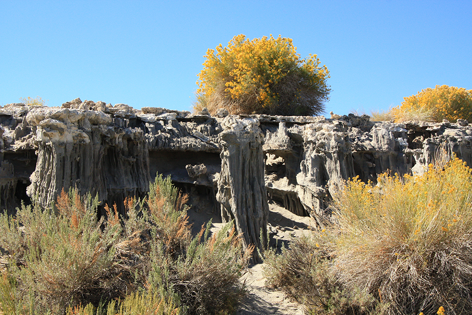 Sand Tufa Trail