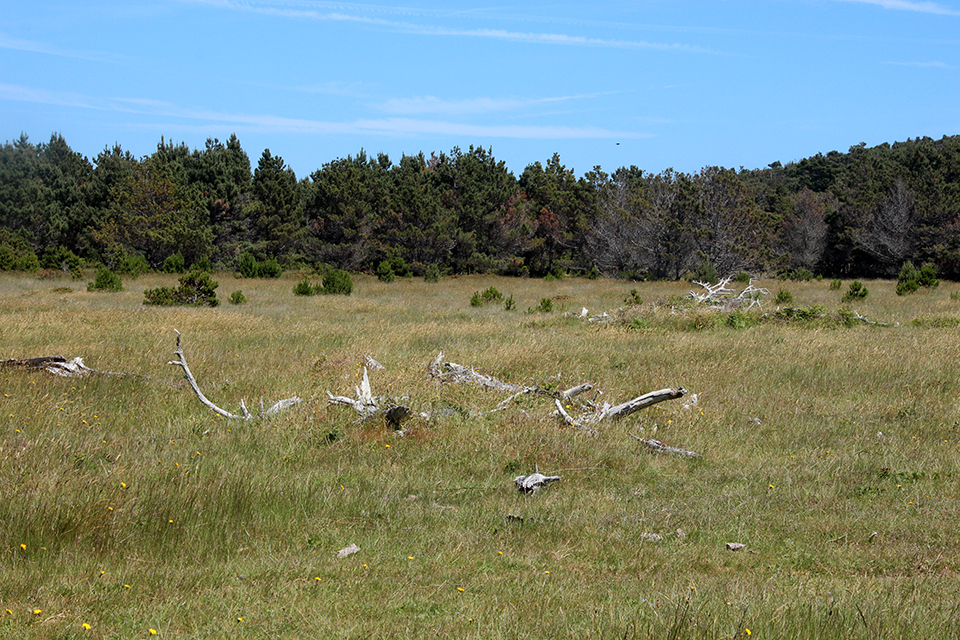 Discovery Trail-Point Arena