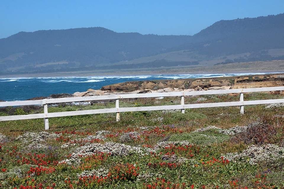 Point Arena Lighthouse