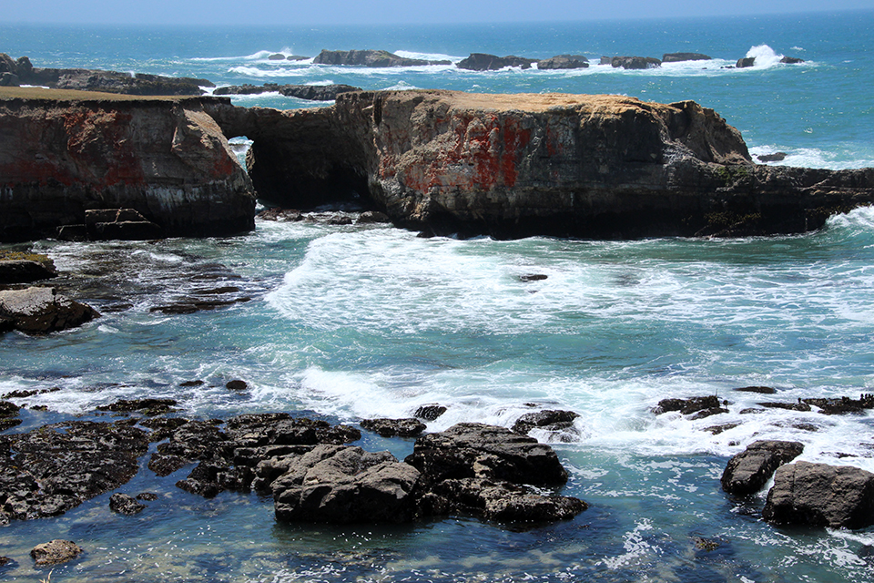 Point Arena Rock Art