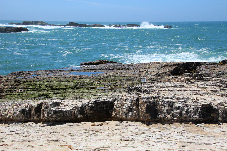 Point Arena Rock Art