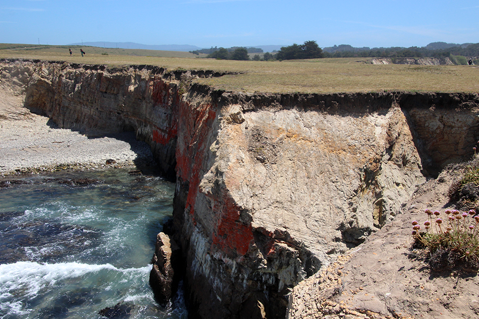 Point Arena Rock Art