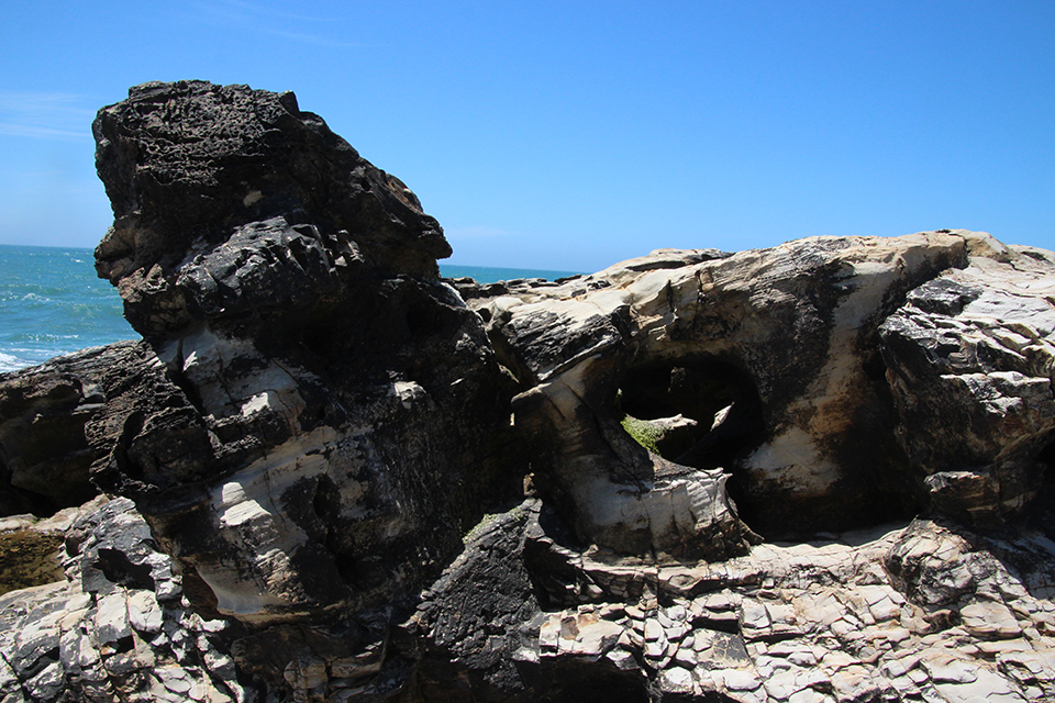 Point Arena Rock Art