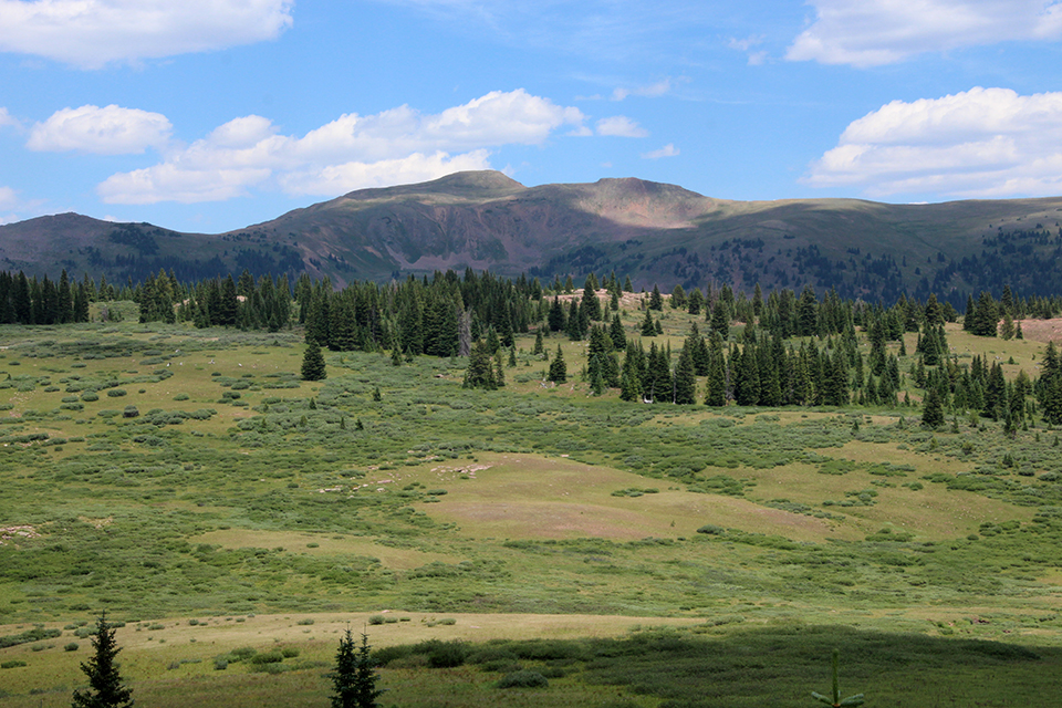 Shrine Ridge Trail Photo