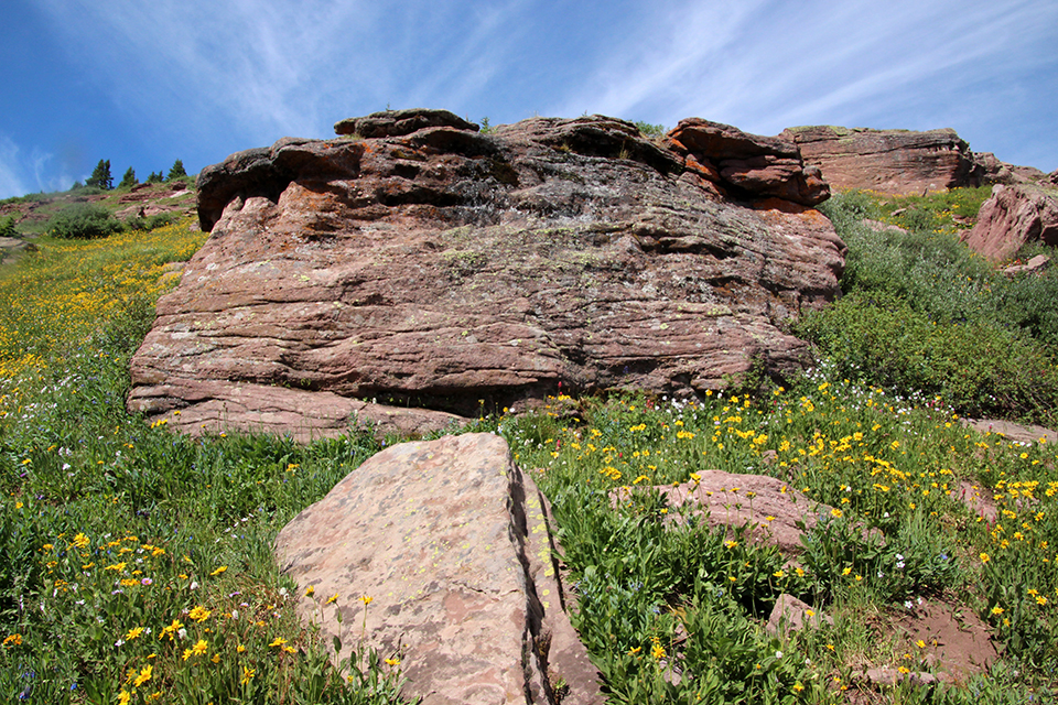 Shrine Ridge Trail photo