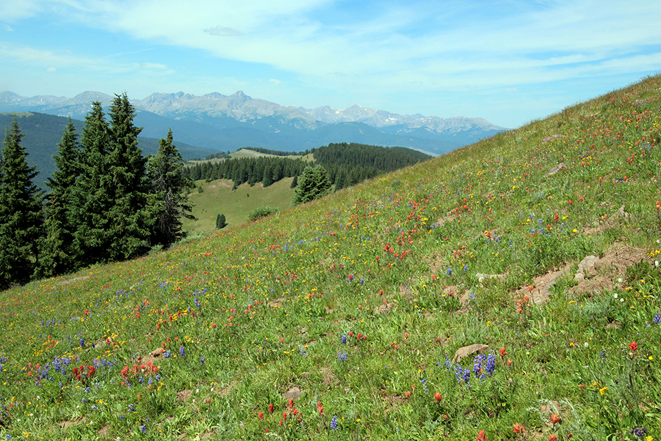 Shrine Ridge Trail photo