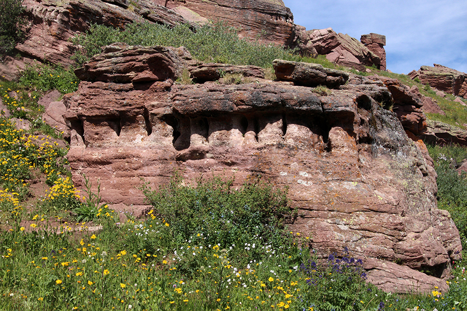 Shrine Ridge Trail photo