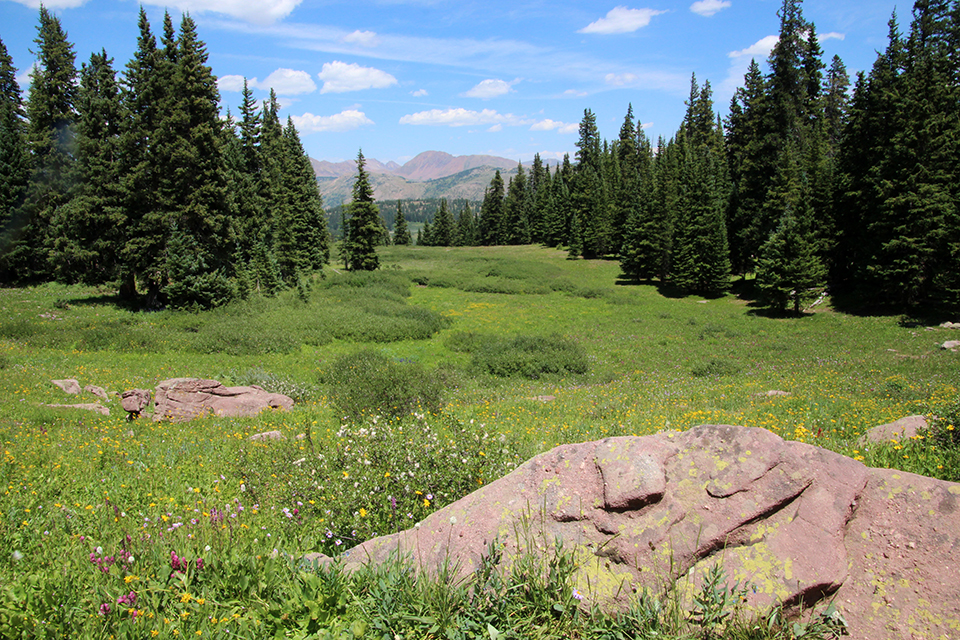 Shrine Ridge Trail photo