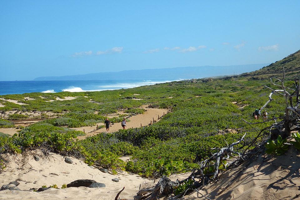 Kaena Point