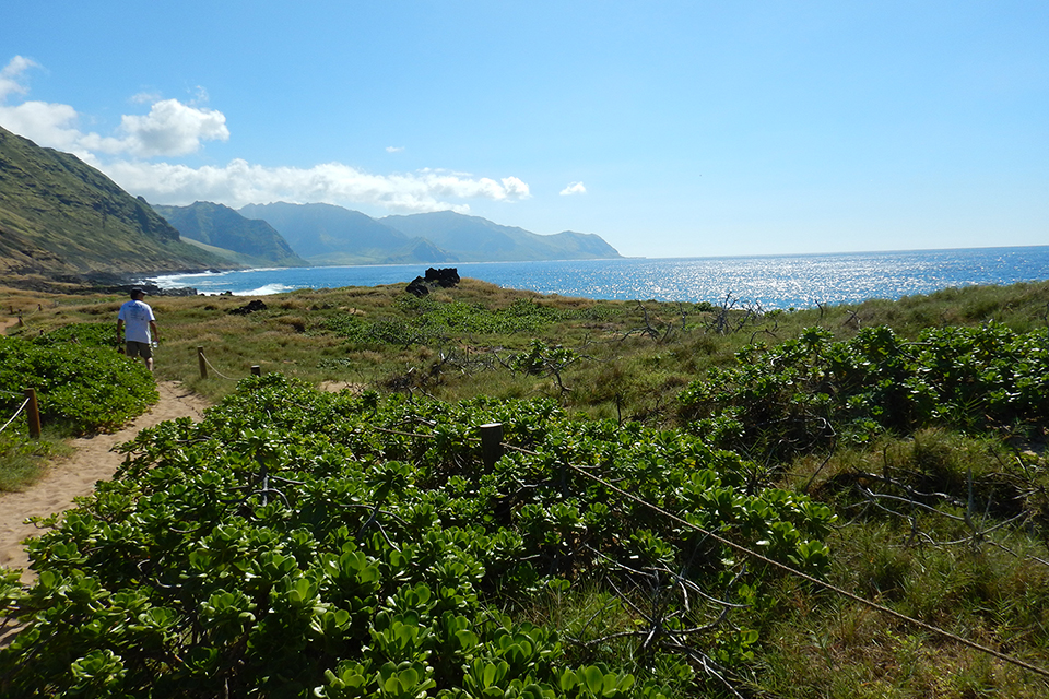 Kaena Point