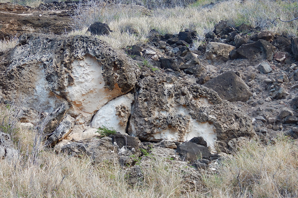 Kaena Point