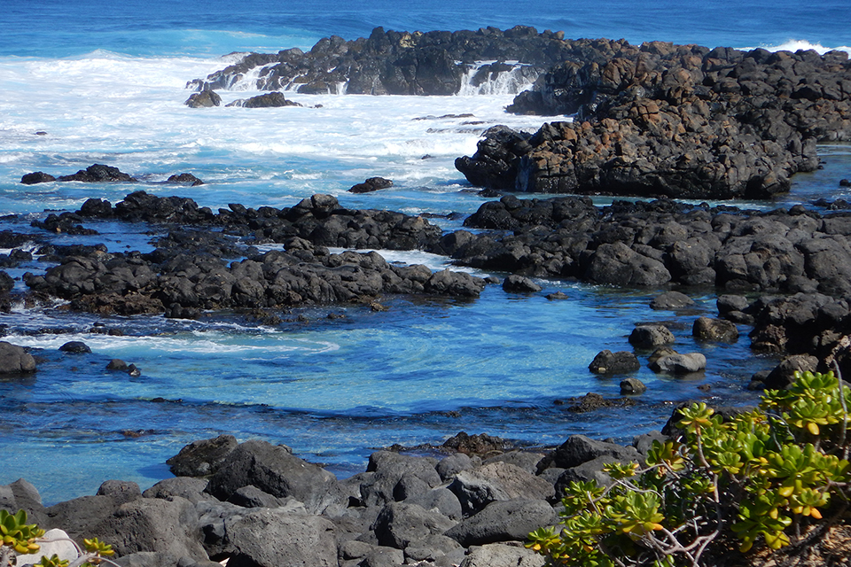 Kaena Point