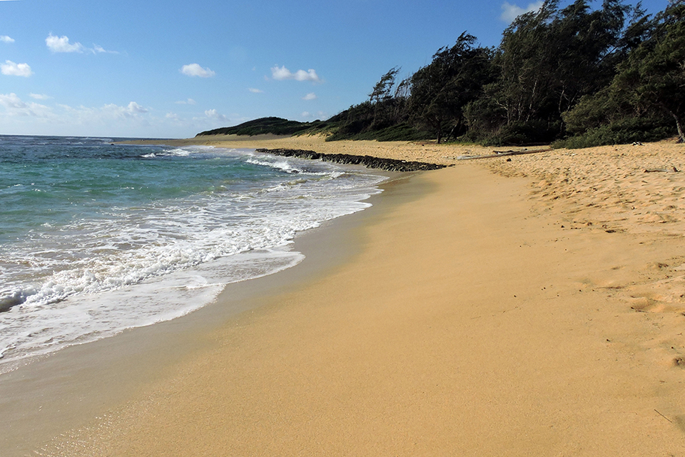 Mahaulepu Beach Trail