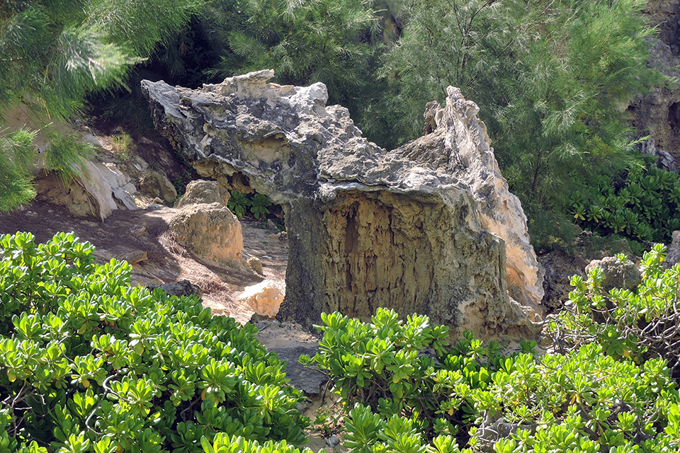 Mahaulepu Beach Trail