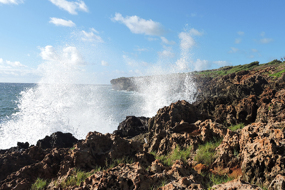 Mahaulepu Beach Trail