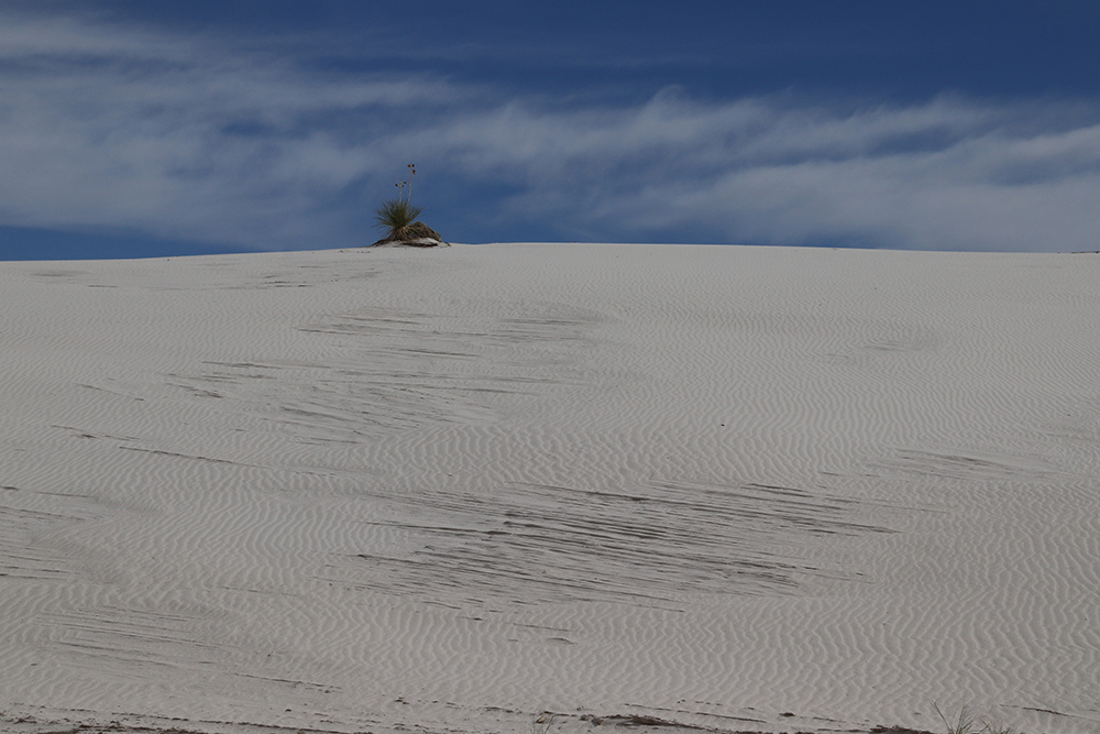 White Sands National Park