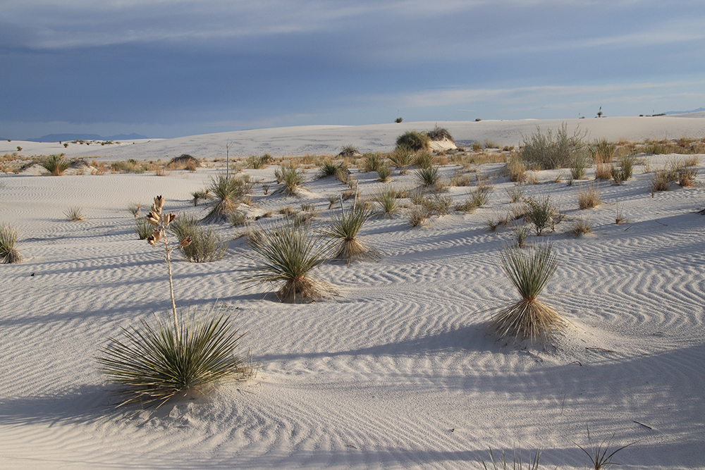 White Sands