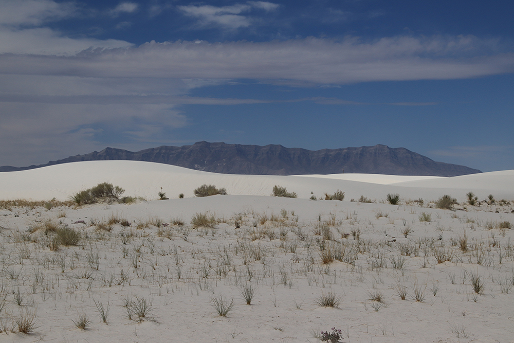 White Sands National Park