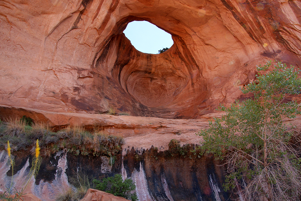 Skyline Arch