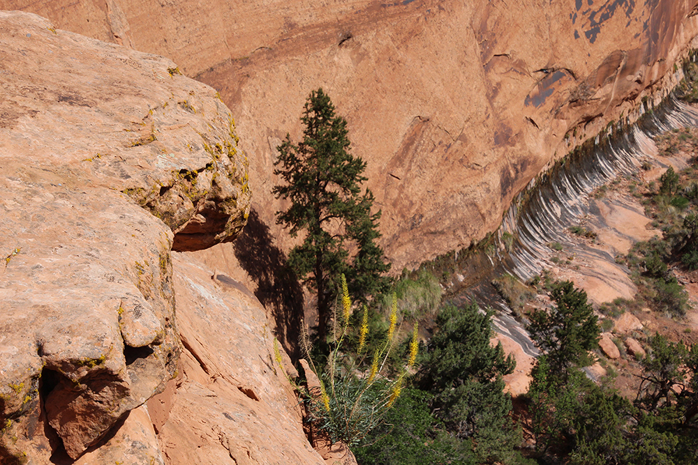 Skyline Arch