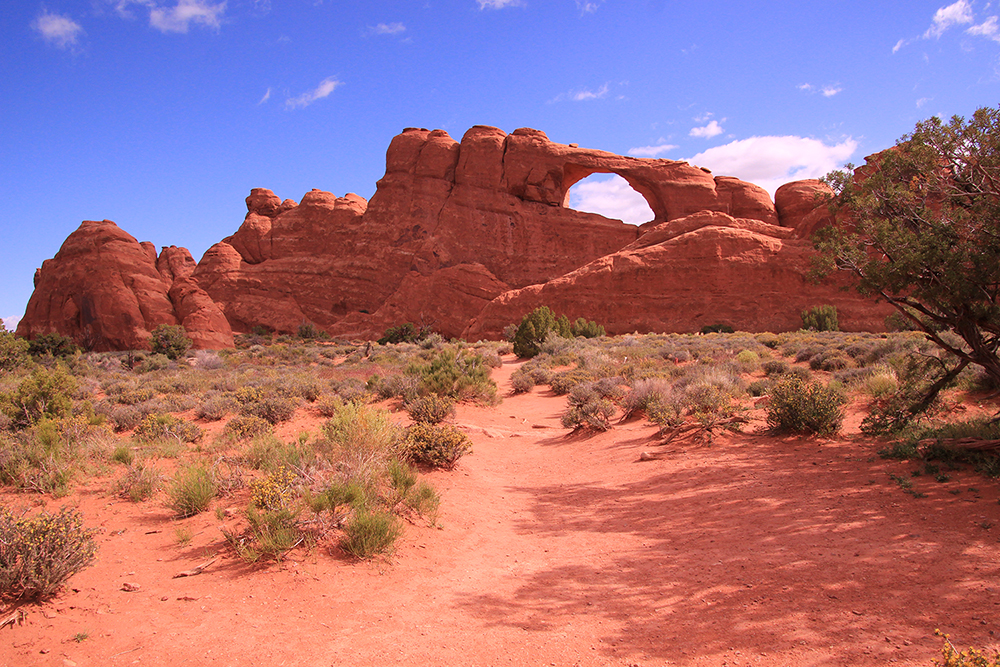 Skyline Arch