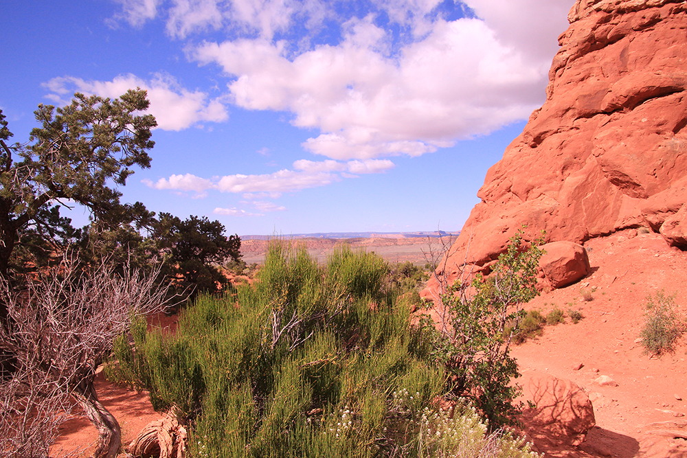 Skyline Arch