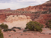 Mesa Arch