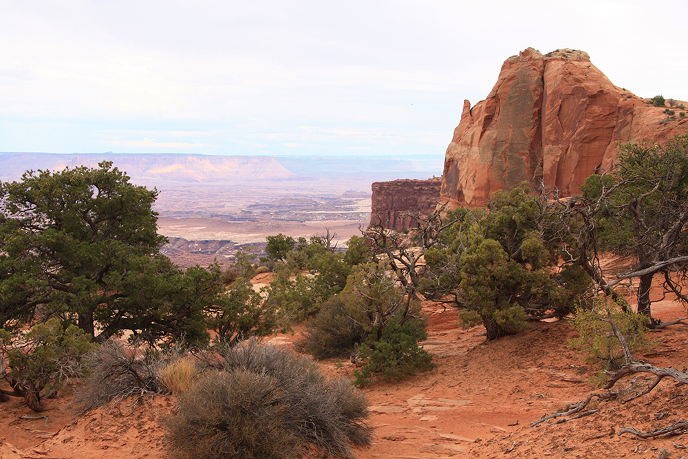 Mesa Arch