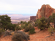 Mesa Arch