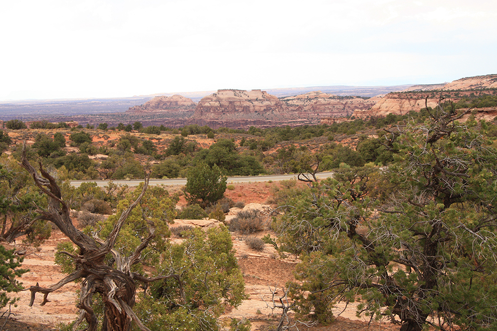 Mesa Arch