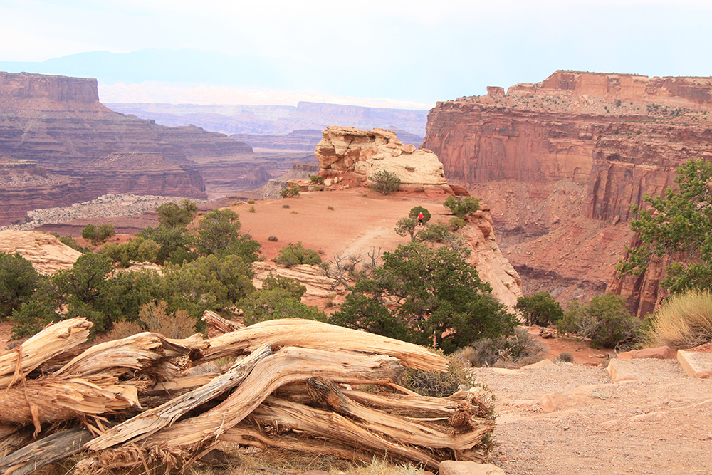 Mesa Arch Hike