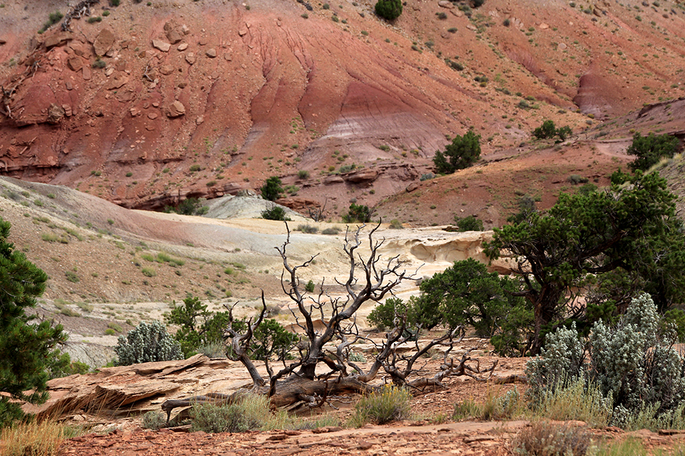 Chimney Rock at Capitol Reef