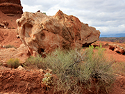 Chimney Rocks Trail