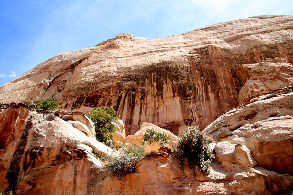 Golden Throne Trail