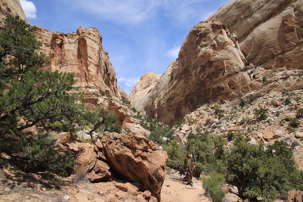 Golden Throne Trail