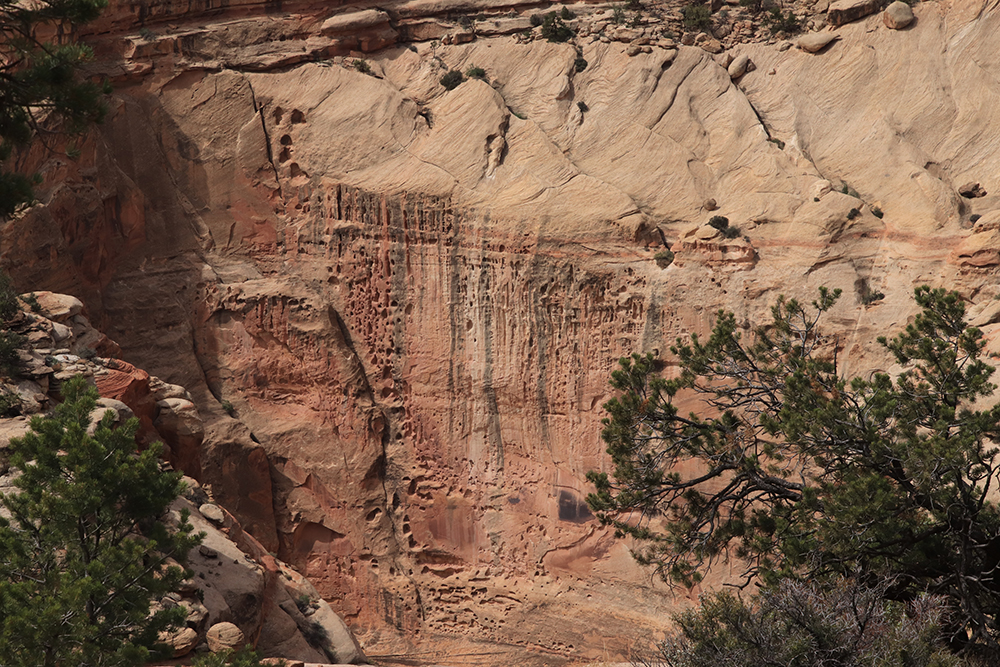 Golden Throne Trail