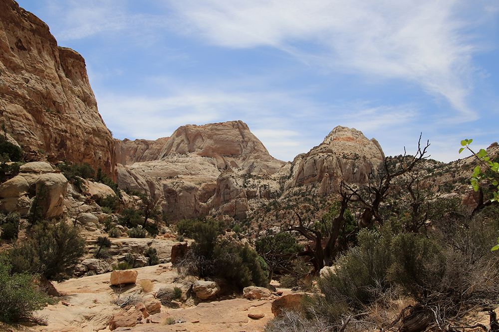 Golden Throne Trail