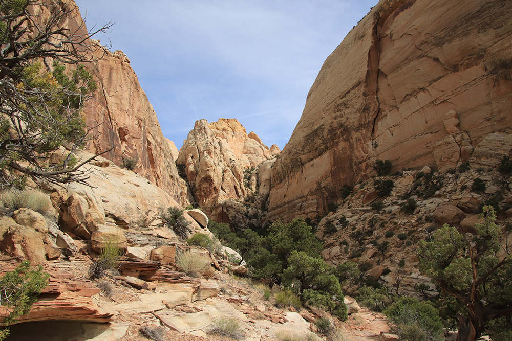 Golden Throne Trail