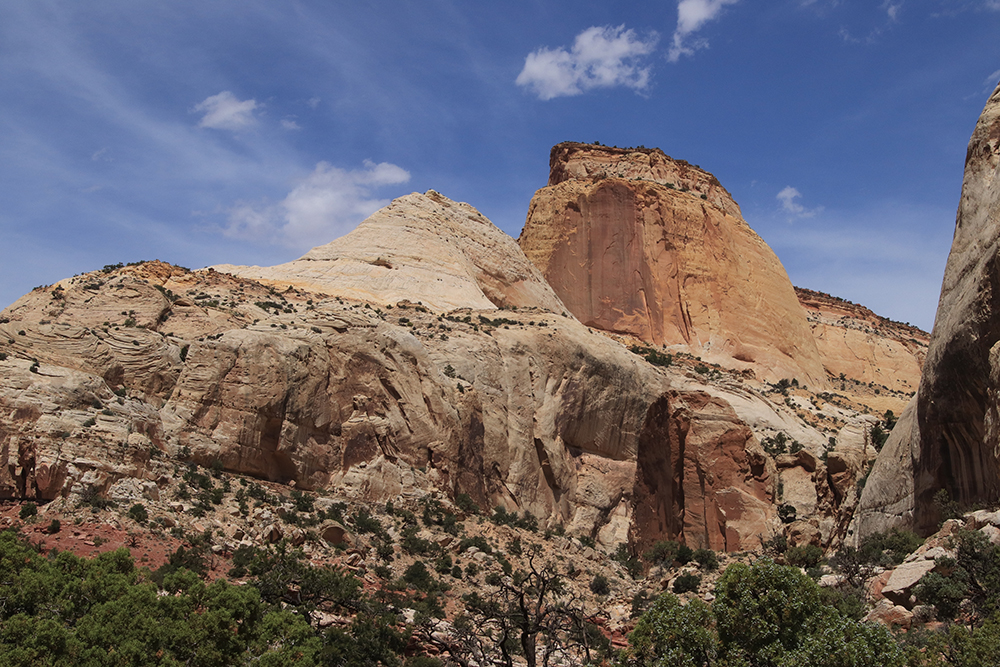 Golden Throne Trail