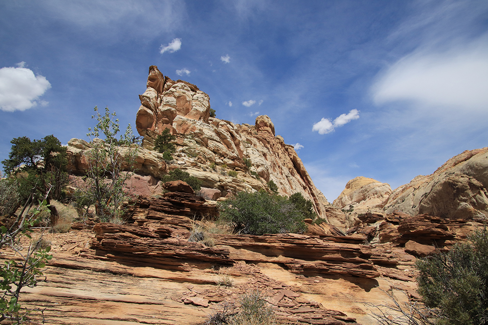 Golden Throne Trail