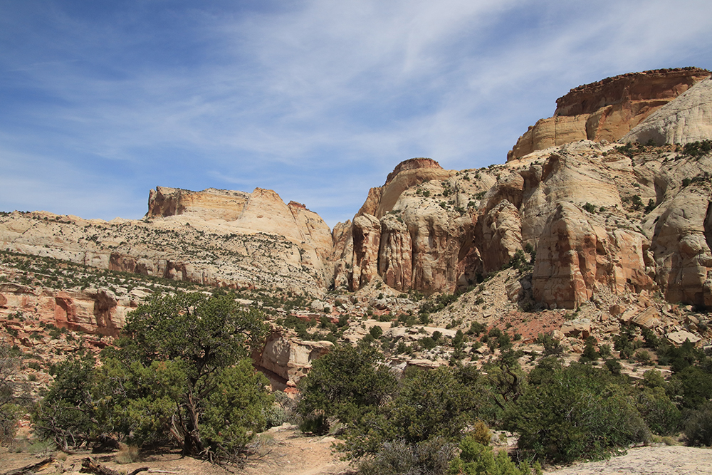 Golden Throne Trail