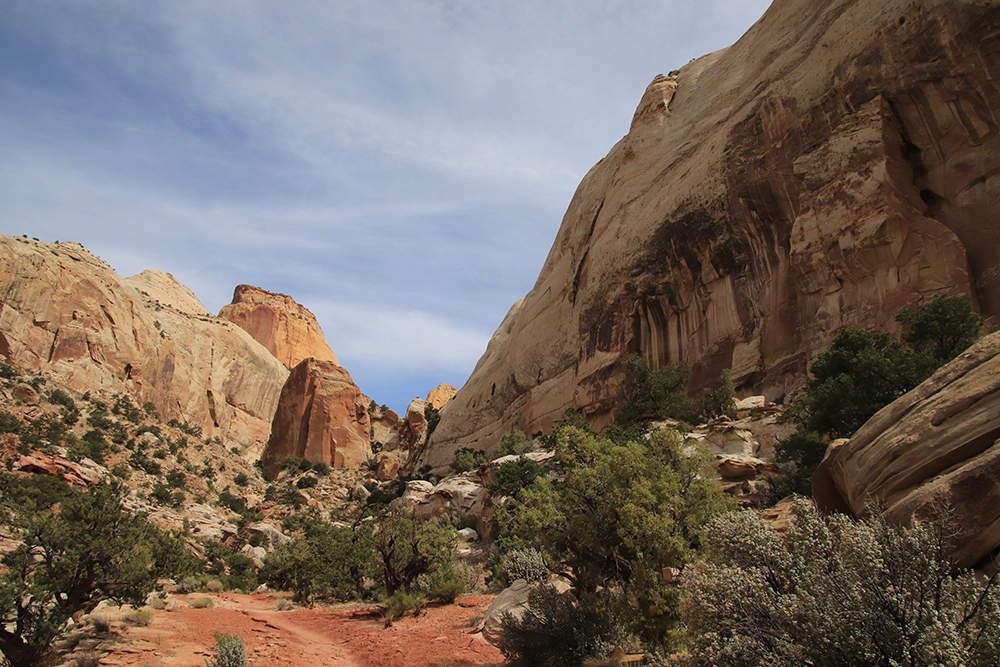 Golden Throne Trail