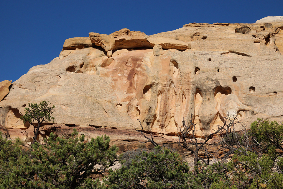 Hickman Bridge Trail photo