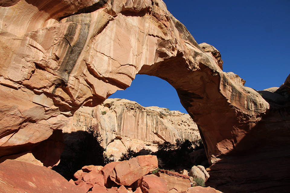 Hickman Bridge Trail photo