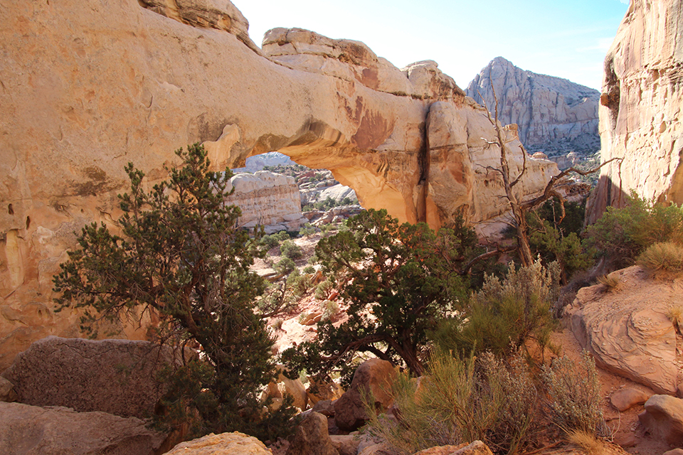 Hickman Bridge Trail photo